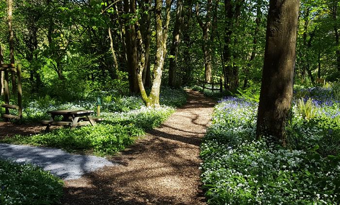 Nearby red squirrel woodlands and picnic spots